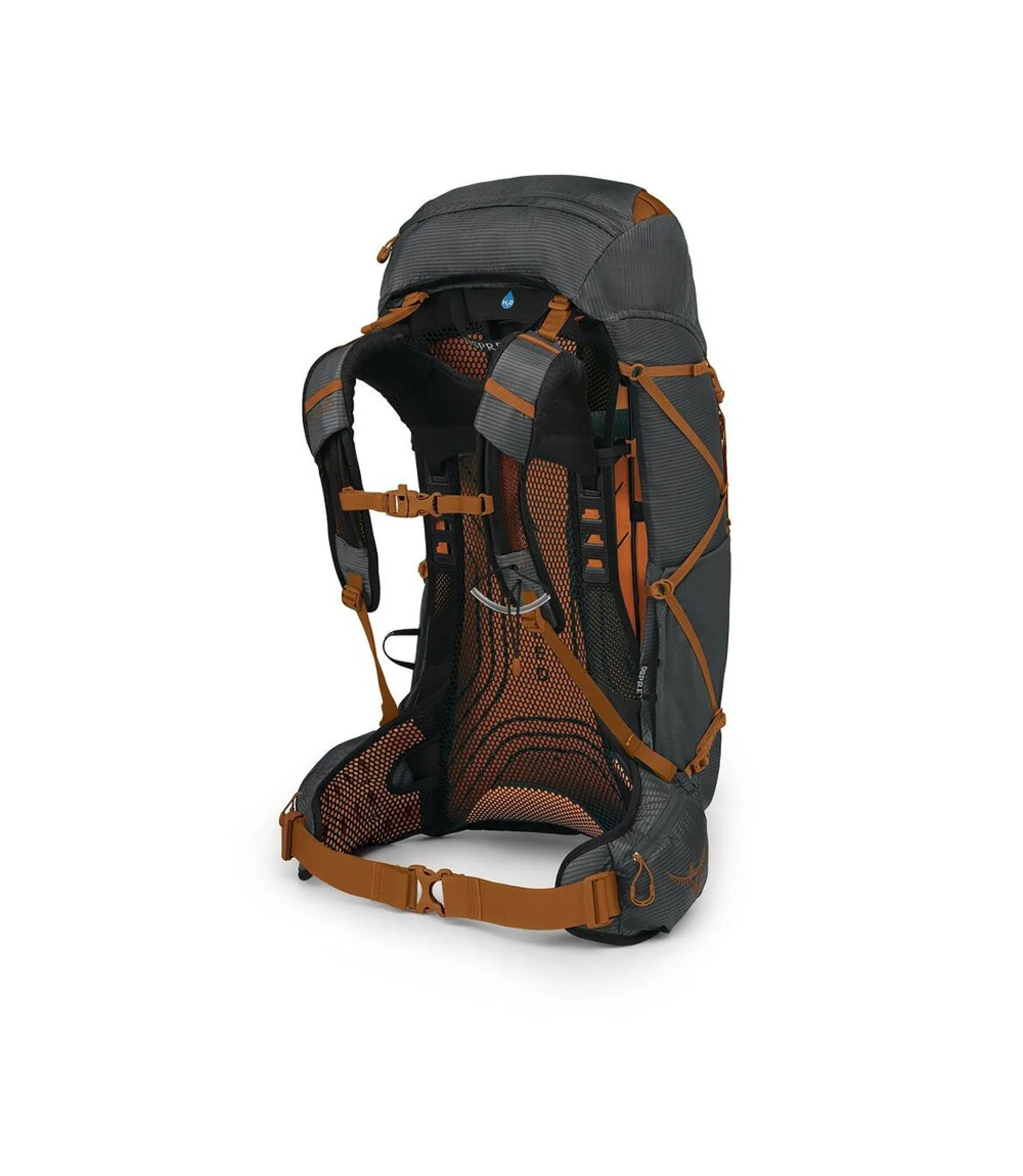 Exos 38 - Image 3