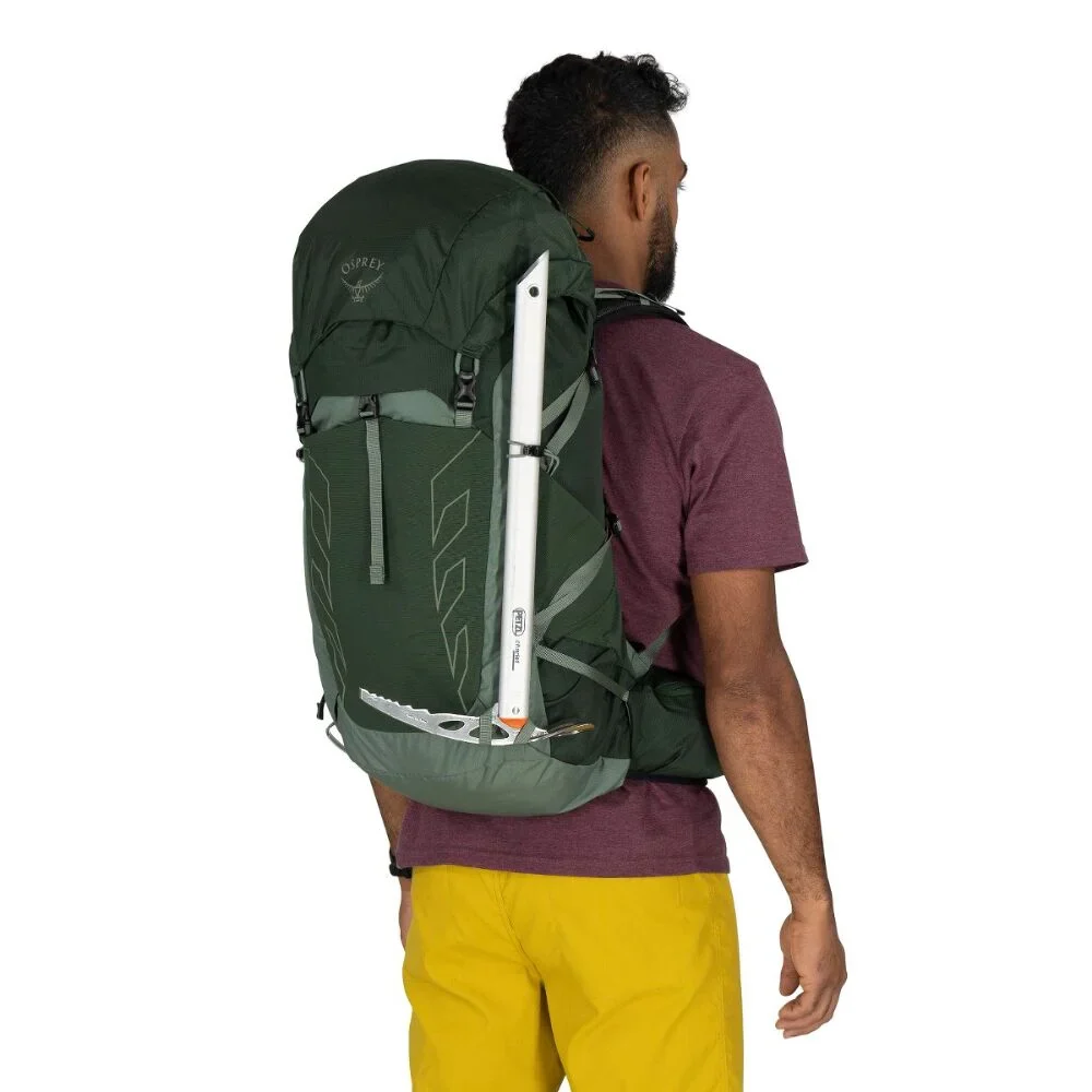 Talon 33L - Image 10